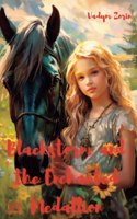 Blackstorm and the Enchanted Medallion