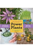 Power Plants