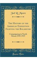 The History of the American Expedition Fighting the Bolsheviki