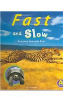 Fast and Slow