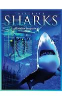 Discover Sharks: (Discover Animals)