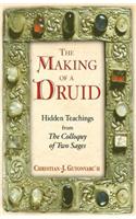 The Making of a Druid: Hidden Teachings from the Colloquy of Two Sages