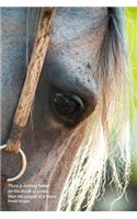 There is nothing better for the inside of a man, than the outside of a horse. Ronald Reagan