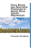 Flora Tnea Seu Descriptio Plantarum in Monte Tna Sponte Nascentium
