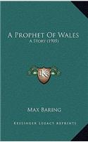 A Prophet Of Wales