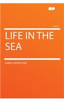 Life in the Sea: (English)