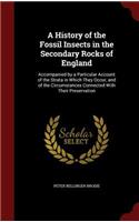 A History of the Fossil Insects in the Secondary Rocks of England