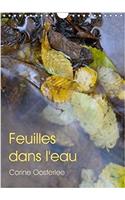Feuilles dans l'eau 2018
