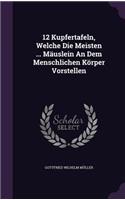 12 Kupfertafeln, Welche Die Meisten ... Mäuslein An Dem Menschlichen Körper Vorstellen