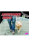 Assistance Dogs