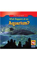 What Happens at an Aquarium?