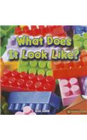 What Does It Look Like?: (Infomax Readers)