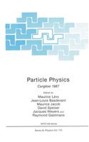 Particle Physics