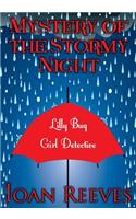 Mystery of the Stormy Night