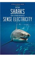 How Sharks and Other Animals Sense Electricity