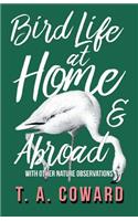 Bird Life at Home and Abroad - With Other Nature Observations