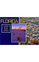 Florida Postcard Book