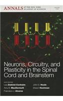 Neurons, Circuitry, and Plasticity in the Spinal Cord and Brainstem, Volume 1279