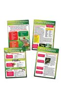 Understanding Nonfiction Text Features Chart Set
