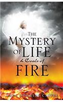 The Mystery of Life & Coals of Fire