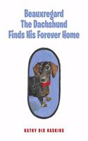 Beauxregard The Dachshund Finds His Forever Home