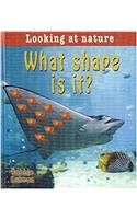 What Shape Is It