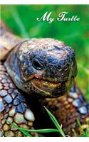 My Turtle
