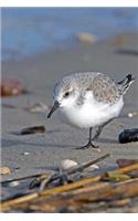 Sanderling Bird Journal (Calidris Alba): 150 page lined notebook/diary