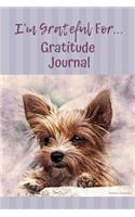 Gratitude Journal: Great Days Start Off with Gratitude: 240 Days to Help Cultivate an Attitude of Gratitude.