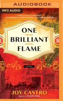 One Brilliant Flame