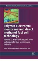 Polymer Electrolyte Membrane and Direct Methanol Fuel Cell Technology: Volume 2: In Situ Characterization Techniques for Low Temperature Fuel Cells