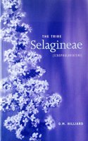Tribe Selagineae, The