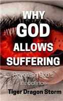 Why God Allows Suffering