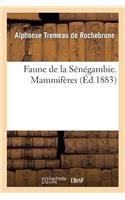 Faune de la Sénégambie. Mammifères