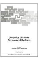 Dynamics of Infinite Dimensional Systems