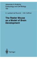 Reeler Mouse as a Model of Brain Development