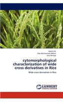 Cytomorphological Characterization of Wide Cross Derivatives in Rice