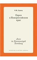 Jews in Novorossiysk Territory: (Russian)