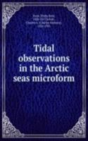 Tidal observations in the Arctic seas microform