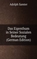 Das Eigenthum in Seiner Sozialen Bedeutung (German Edition)