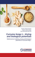 Curcuma longa L.: drying and biological potentials