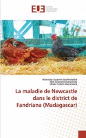 maladie de Newcastle dans le district de Fandriana (Madagascar)