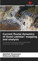 Current fluvial dynamics of Oued Lakhdar: mapping and analysis