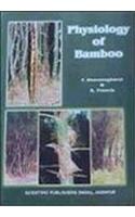 Physiology of Bamboo