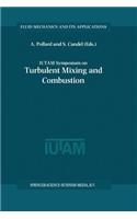 Iutam Symposium on Turbulent Mixing and Combustion