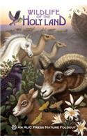 Wildlife of the Holy Land