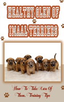 Healthy Glen of Imaal Terriers