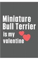Miniature Bull Terrier is my valentine: For Miniature Bull Terrier Dog Fans