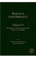 Metabolons and Supramolecular Enzyme Assemblies