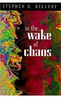 In the Wake of Chaos